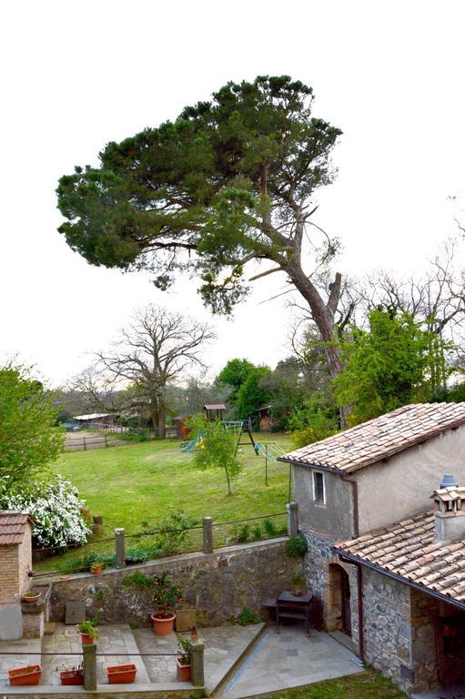 Agriturismo Tenuta Buon Respiro Orvieto Exteriér fotografie